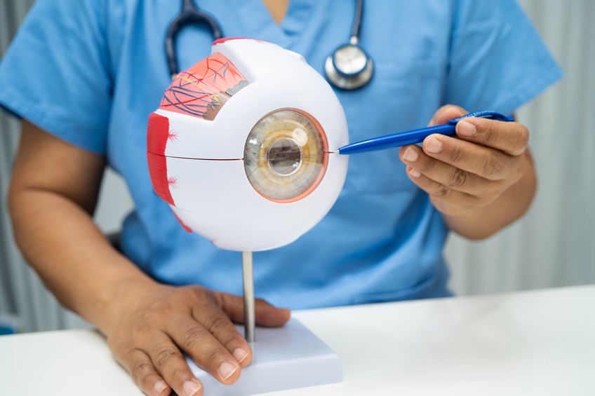 scec-can-glaucoma-be-prevented-or-slowed can-glaucoma-be-prevented-or-slowed